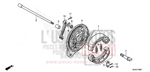 Bremsankerplatte hinten (VT750C2B/C) VT750C2BE de 2014